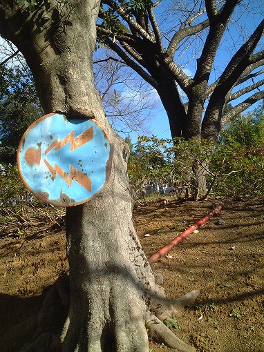 警笛の標識が木に埋め込められている