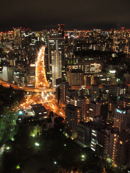 東京タワー夜景7